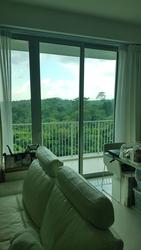 Tree House (D23), Condominium #146963062